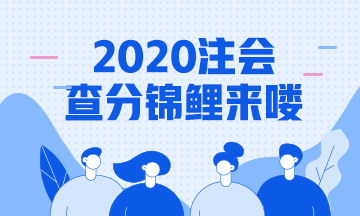 2020年注會(huì)成績(jī)查詢錦鯉報(bào)道！總有一款適合你~