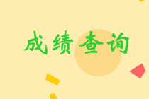 四川眉山中級成績查詢2020入口在哪里？