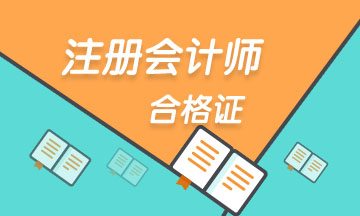 遼寧2020年注冊會計師有二個合格證嗎？