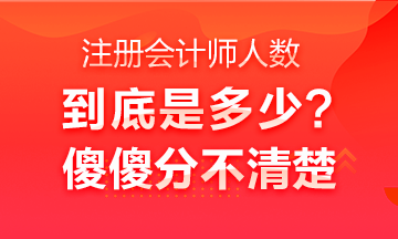 中國(guó)注冊(cè)會(huì)計(jì)師行業(yè)全國(guó)從業(yè)人員超40萬人？不是二十多萬嗎？