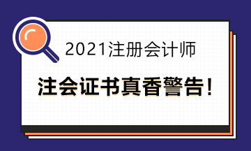 擁有注會證書是多香的一件事?。? suffix=