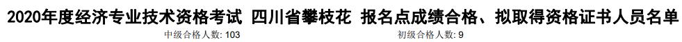 攀枝花2020年初中級(jí)經(jīng)濟(jì)師考試合格人數(shù)