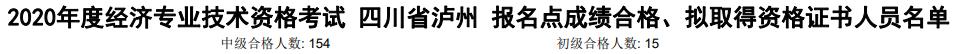 瀘州2020年初中級經(jīng)濟(jì)師考試合格人數(shù)