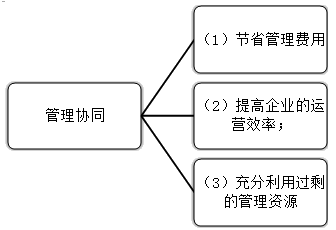 2021高會(huì)《高級(jí)會(huì)計(jì)實(shí)務(wù)》考試知識(shí)點(diǎn)：發(fā)揮協(xié)同效應(yīng)