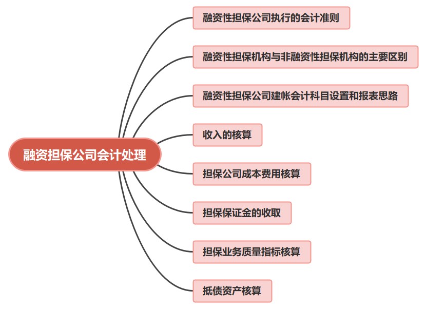 金融公司財務(wù)人員必看！融資擔(dān)保公司會計處理