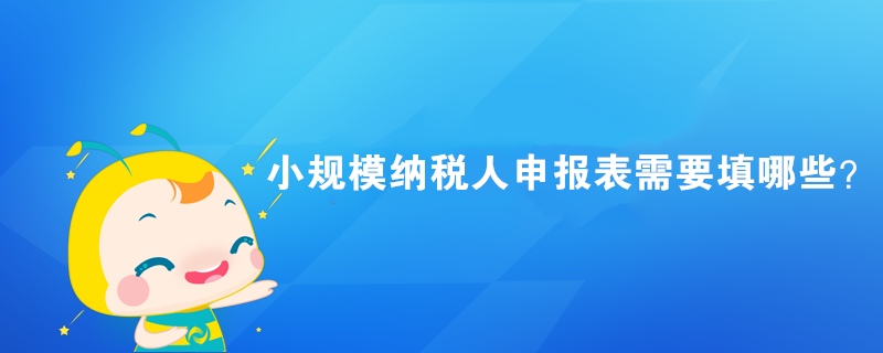 小規(guī)模納稅人申報(bào)表需要填哪些？