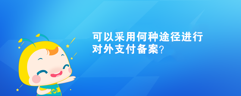 可以采用何種途徑進行對外支付備案？