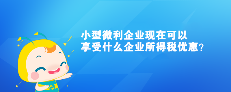 小型微利企業(yè)現(xiàn)在可以享受什么企業(yè)所得稅優(yōu)惠？