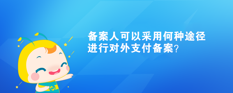 備案人可以采用何種途徑進(jìn)行對(duì)外支付備案？