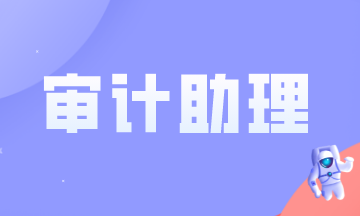 審計(jì)助理做什么？需要滿足什么條件？