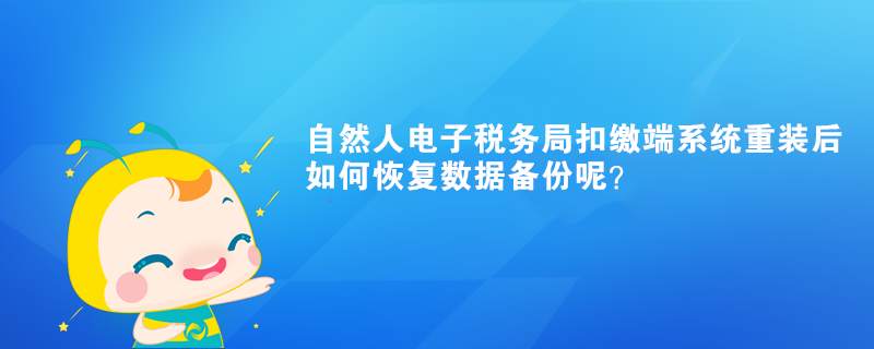 自然人電子稅務(wù)局扣繳端系統(tǒng)重裝后如何恢復(fù)數(shù)據(jù)備份呢？