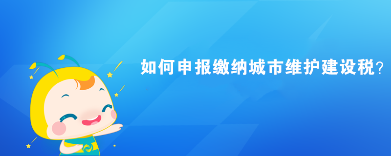 如何申報(bào)繳納城市維護(hù)建設(shè)稅？