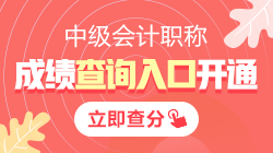 四川2021年中級(jí)會(huì)計(jì)職稱(chēng)成績(jī)查詢(xún)?nèi)肟谝验_(kāi)通