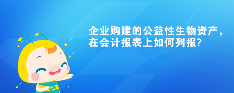 企業(yè)購(gòu)建的公益性生物資產(chǎn)，在會(huì)計(jì)報(bào)表上如何列報(bào)?