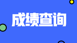 四川注會(huì)查分入口將于11月開(kāi)通！