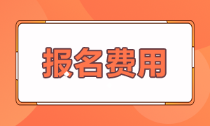 貴州省初級(jí)會(huì)計(jì)職稱(chēng)2021年報(bào)名費(fèi)多少？