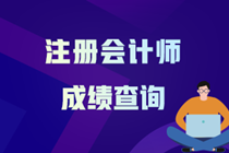 注冊會計師成績查詢?nèi)肟谝验_通 教你快速查成績！