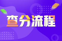 證券從業(yè)資格考試查分流程？