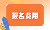 遼寧省2022年初級會計職稱考試報名費是多少？