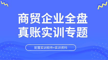 商貿(mào)企業(yè)全盤真賬實訓(xùn)專題