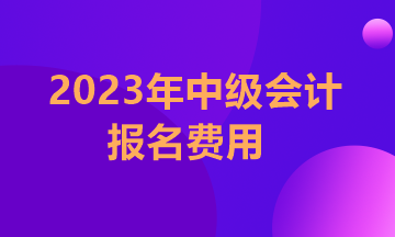 江蘇2023年中級(jí)會(huì)計(jì)職稱考試報(bào)名費(fèi)用多少？