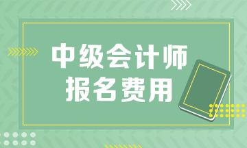 中級會計報考費(fèi)用多少錢?