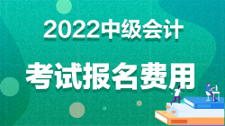 中級會計報名考試費用是多少錢？速看！