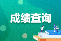 中級(jí)會(huì)計(jì)職稱考試成績(jī)什么時(shí)候可以查詢出來(lái)？