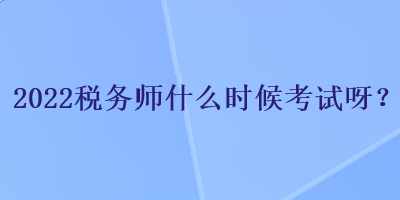 2022稅務師什么時候考試呀？