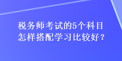 稅務(wù)師考試的5個(gè)科目怎樣搭配學(xué)習(xí)比較好？