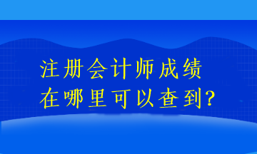 注冊會計師成績在哪里可以查到？