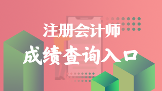 河南省的2022年注冊會計師考試成績在哪里查？