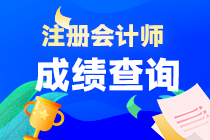 海南省2022年注會成績什么時候查詢？