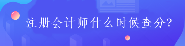 注冊會計師什么時候查分？