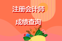 什么時(shí)間查詢注冊(cè)會(huì)計(jì)師考試成績(jī)？