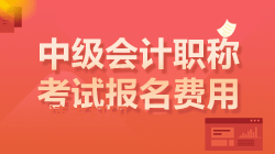 中級會(huì)計(jì)考試報(bào)名費(fèi)用