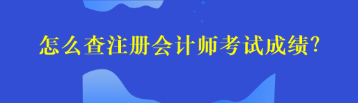 怎么查注冊會計師考試成績？