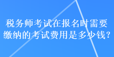 稅務師考試在報名時需要繳納的考試費用是多少錢？