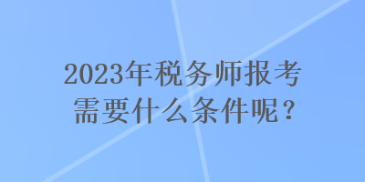 2023年稅務師報考需要什么條件呢？