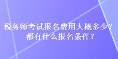 稅務(wù)師考試報名費用大概多少？都有什么報名條件？