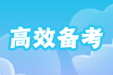 審計師備考秘籍 高效策略助你輕松沖刺！