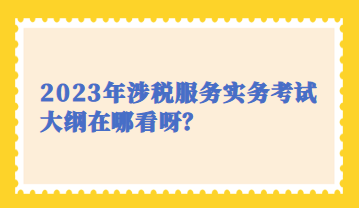 2023年涉稅服務(wù)實(shí)務(wù)考試大綱在哪看呀？