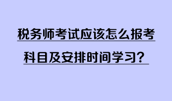 稅務(wù)師考試應(yīng)該怎么報考科目及安排時間學(xué)習(xí)？