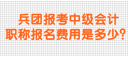 兵團(tuán)報(bào)考中級(jí)會(huì)計(jì)職稱報(bào)名費(fèi)用是多少？