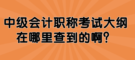 中級(jí)會(huì)計(jì)職稱考試大綱在哪里查到的??？