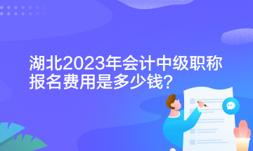 湖北2023年會計中級職稱報名費用是多少錢？