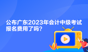 公布廣東2023年會計中級考試報名費用了嗎？