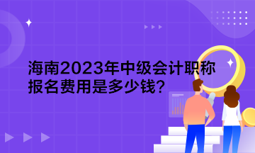 海南2023年中級(jí)會(huì)計(jì)職稱(chēng)報(bào)名費(fèi)用是多少錢(qián)？