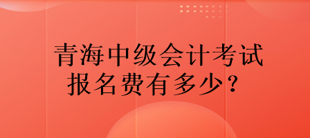 青海中級會計考試報名費有多少？