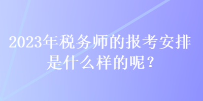 2023年稅務(wù)師的報(bào)考安排是什么樣的呢？